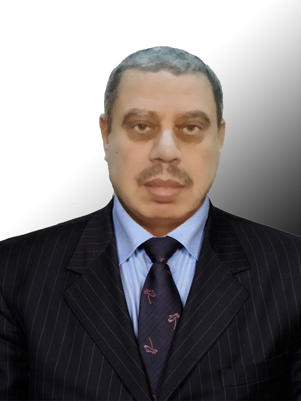 Mahmoud ALSHOUBAKI Image